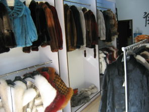 皮草消费指南 理性选择与穿搭建议